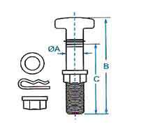 T-Bolt Manufacturer from India